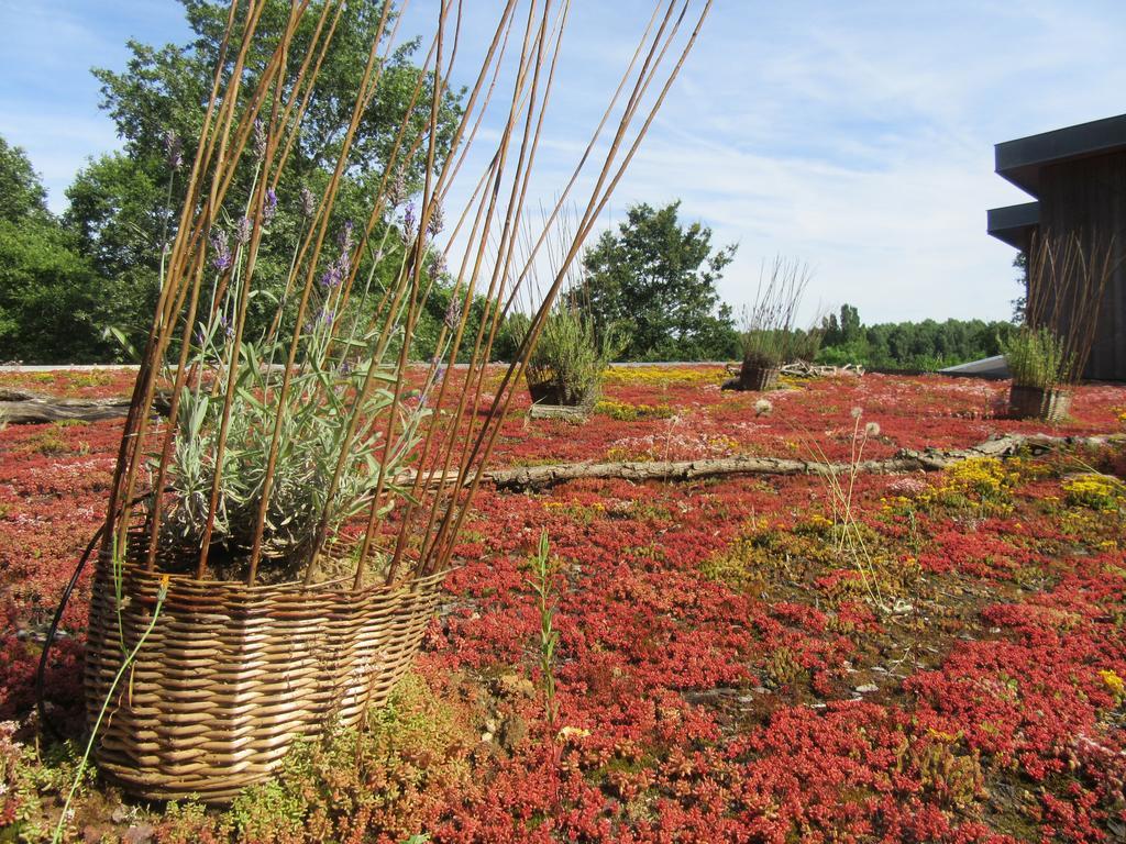 D'Une Autre Nature Mesland Ngoại thất bức ảnh
